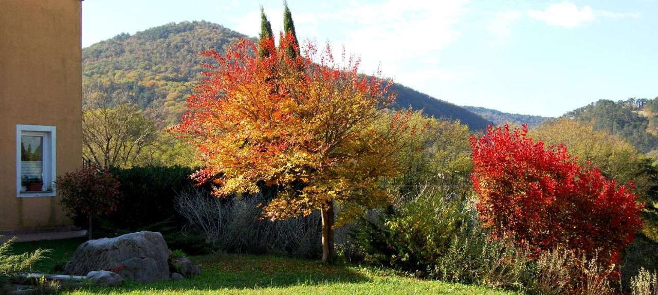 Hisa Posebne Sorte Kodreti Exterior foto